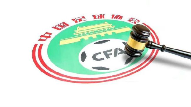 蓝羽：近两年我们也看到上影的成绩也特别的亮眼，相继推出了像《南京照相馆》、《浪浪山小妖怪》，还有《菜肉馄饨》这种本土题材的影片。